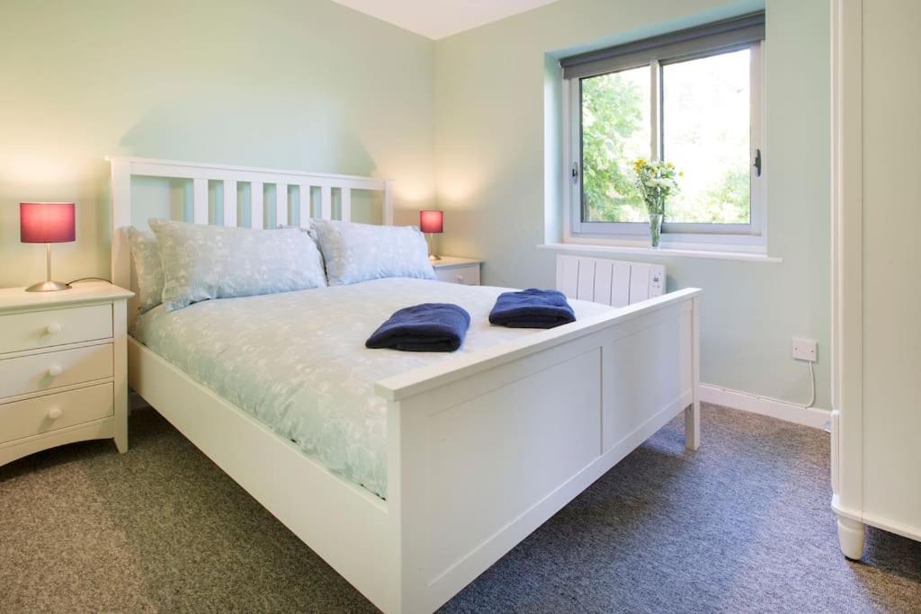 Cosy Modern Apartamento Oxford
